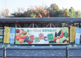 またきて菜