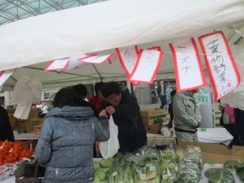 イベントへの参加による「堺のめぐみ」など堺産農産物の周知活動(堺市役所前市民交流広場における販売)