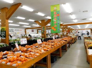 またきて菜の館内1