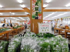 またきて菜の館内2
