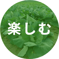 楽しむ