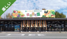 堺の農産物が買える直売所