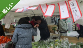 堺4Hクラブ