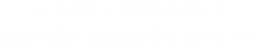 じつは堺は農業も盛んです。身近で採れた新鮮な野菜を食べませんか