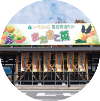 またきて菜