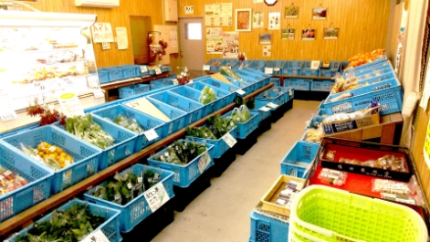 コスモス館内観