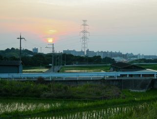 堺の農業（写真7）