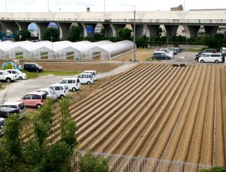 堺の農業（写真14）