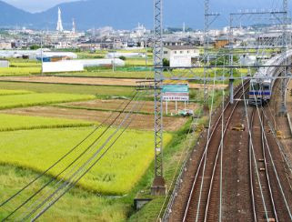 堺の農業（写真17）