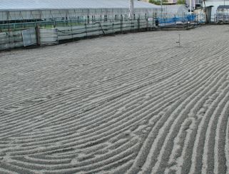 堺の農業（写真18）